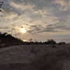 newpoort Altpins Profile Picture