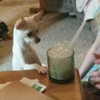 newpoort Altpins Profile Picture