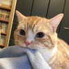 newpoort Altpins Profile Picture
