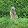 newpoort Altpins Profile Picture