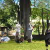 newpoort Altpins Profile Picture
