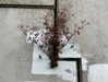 newpoort Altpins Profile Picture
