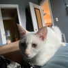 newpoort Altpins Profile Picture