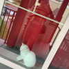 newpoort Altpins Profile Picture