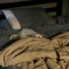 newpoort Altpins Profile Picture