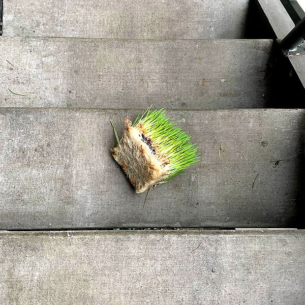 newpoort instagram image archive image