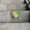 newpoort Altpins Profile Picture
