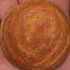 newpoort Altpins Profile Picture