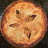 newpoort Altpins Profile Picture