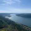 newpoort Altpins Profile Picture