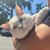 newpoort Altpins Profile Picture