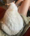 newpoort Altpins Profile Picture
