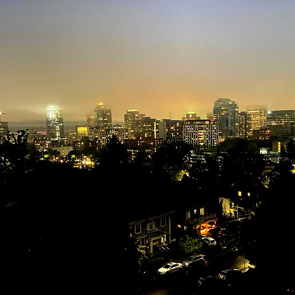 newpoort instagram image archive image