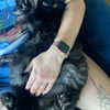 newpoort Altpins Profile Picture