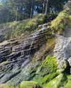 newpoort Altpins Profile Picture