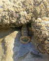 newpoort Altpins Profile Picture