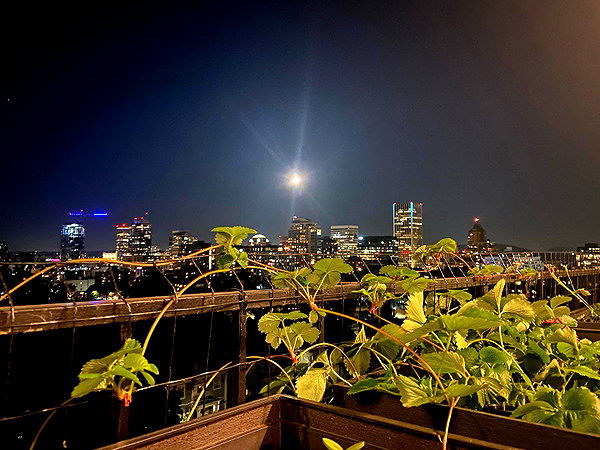 newpoort instagram image archive image