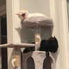 newpoort Altpins Profile Picture