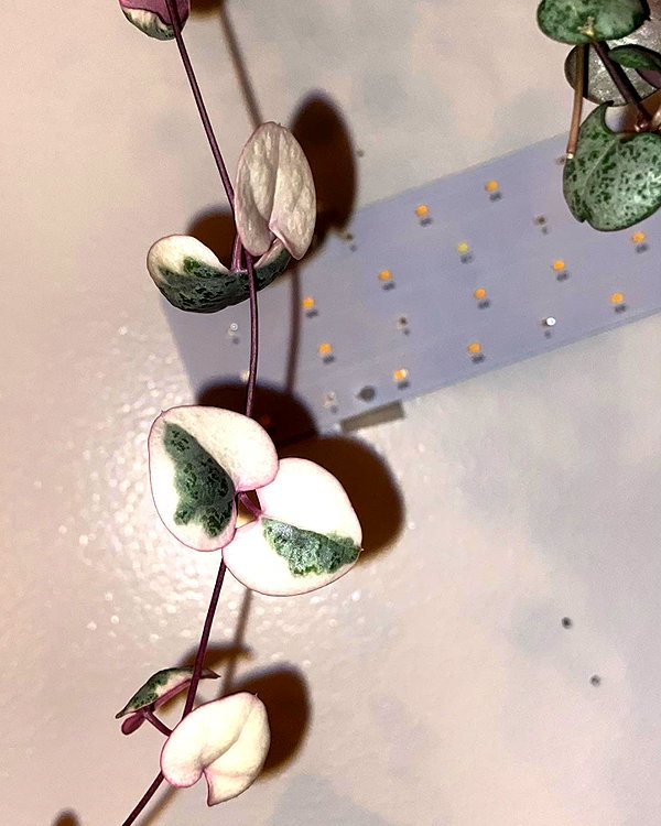 newpoort instagram image archive image