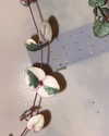 newpoort Altpins Profile Picture