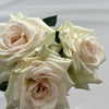 newpoort Altpins Profile Picture