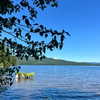 newpoort Altpins Profile Picture