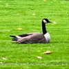 newpoort Altpins Profile Picture