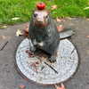 newpoort Altpins Profile Picture