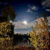 newpoort Altpins Profile Picture