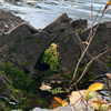 newpoort Altpins Profile Picture