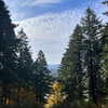 newpoort Altpins Profile Picture