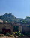 newpoort Altpins Profile Picture