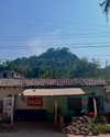newpoort Altpins Profile Picture
