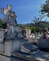 newpoort Altpins Profile Picture