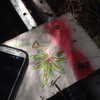 newpoort Altpins Profile Picture