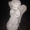 newpoort Altpins Profile Picture