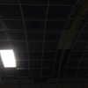 newpoort Altpins Profile Picture