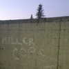 newpoort Altpins Profile Picture