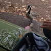 newpoort Altpins Profile Picture