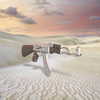 newpoort Altpins Profile Picture