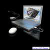 newpoort Altpins Profile Picture