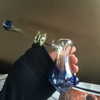 newpoort Altpins Profile Picture