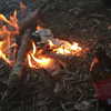 newpoort Altpins Profile Picture