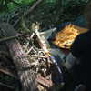 newpoort Altpins Profile Picture