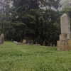 newpoort Altpins Profile Picture