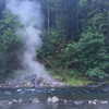 newpoort Altpins Profile Picture