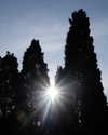 ngha_nhi Altpins Profile Picture