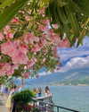 nicole.kauf Altpins Profile Picture