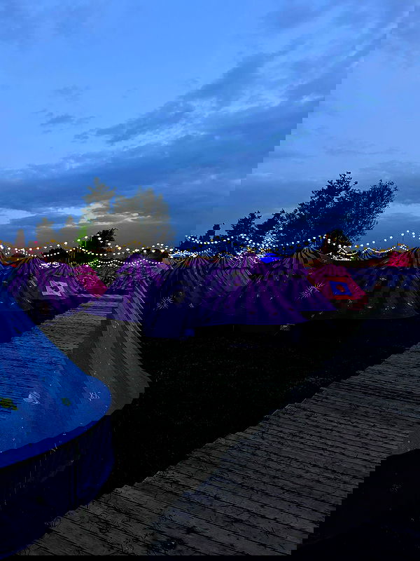 nicole.shpo nicole.shpo archive image