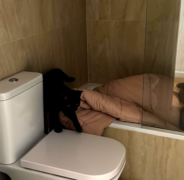 nicoleponyxo instagram image archive image